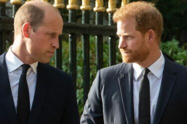 Famille royale EN DIRECT : « avertissement » du prince William au prince Harry à propos de Meghan Markle