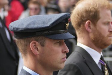 Famille royale EN DIRECT : une seule personne aurait pu mettre fin à la querelle entre le prince William et le prince Harry