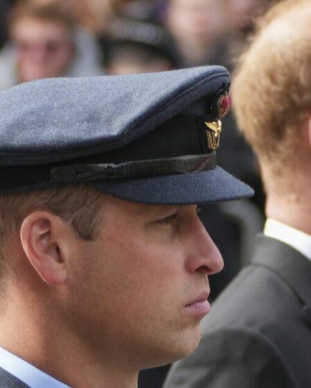 Famille royale EN DIRECT : une seule personne aurait pu mettre fin à la querelle entre le prince William et le prince Harry