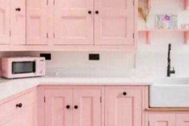 La maison rose « Barbie » devient virale et les chasseurs de maisons n'arrivent pas à croire l'affaire