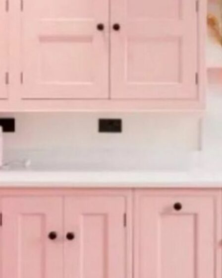 La maison rose « Barbie » devient virale et les chasseurs de maisons n'arrivent pas à croire l'affaire