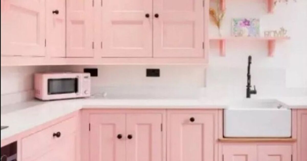 La maison rose « Barbie » devient virale et les chasseurs de maisons n'arrivent pas à croire l'affaire