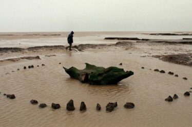 Le mystère de « Seahenge » découvert : un cercle en bois utilisé pour un rituel ancien