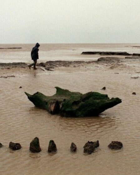 Le mystère de « Seahenge » découvert : un cercle en bois utilisé pour un rituel ancien