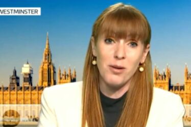 Le retrait brutal d'Angela Rayner par Adil Ray de GMB alors que les téléspectateurs la qualifient d'"hypocrite"