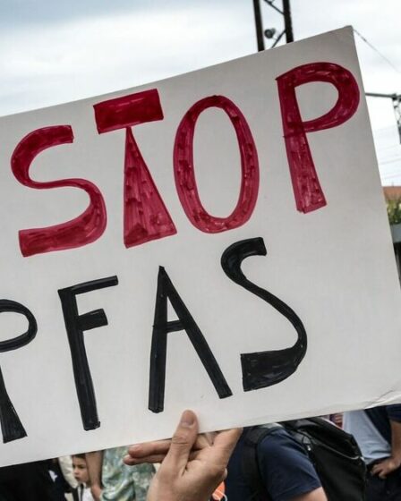 Le sang et les cheveux des hommes politiques sont positifs à la présence de « produits chimiques éternels » nocifs