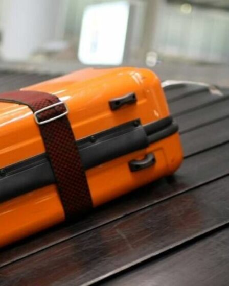 Les gens commencent tout juste à comprendre comment s'assurer que leur valise est la première à descendre de l'avion.