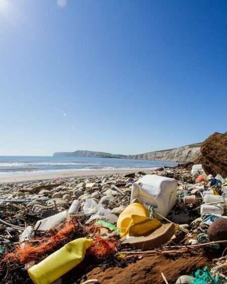 Les touristes britanniques ont lancé un sombre avertissement alors que six plages espagnoles remettaient des « drapeaux noirs »