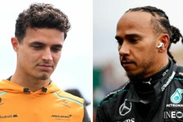 Lewis Hamilton et Lando Norris évités alors que Helmut Marko fait un commentaire impitoyable