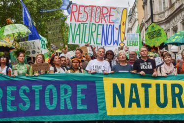 « Restaurez la nature maintenant ! »  Chris Packham mène une marche de 60 000 personnes pour l'environnement