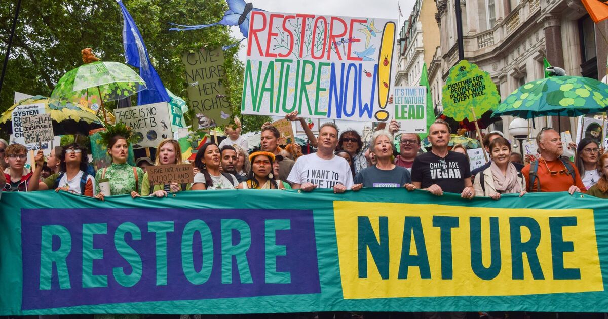 « Restaurez la nature maintenant ! »  Chris Packham mène une marche de 60 000 personnes pour l'environnement