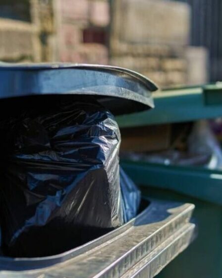 Une femme chanceuse sort les poubelles et trouve un trésor caché valant des centaines de dollars jeté à l'intérieur