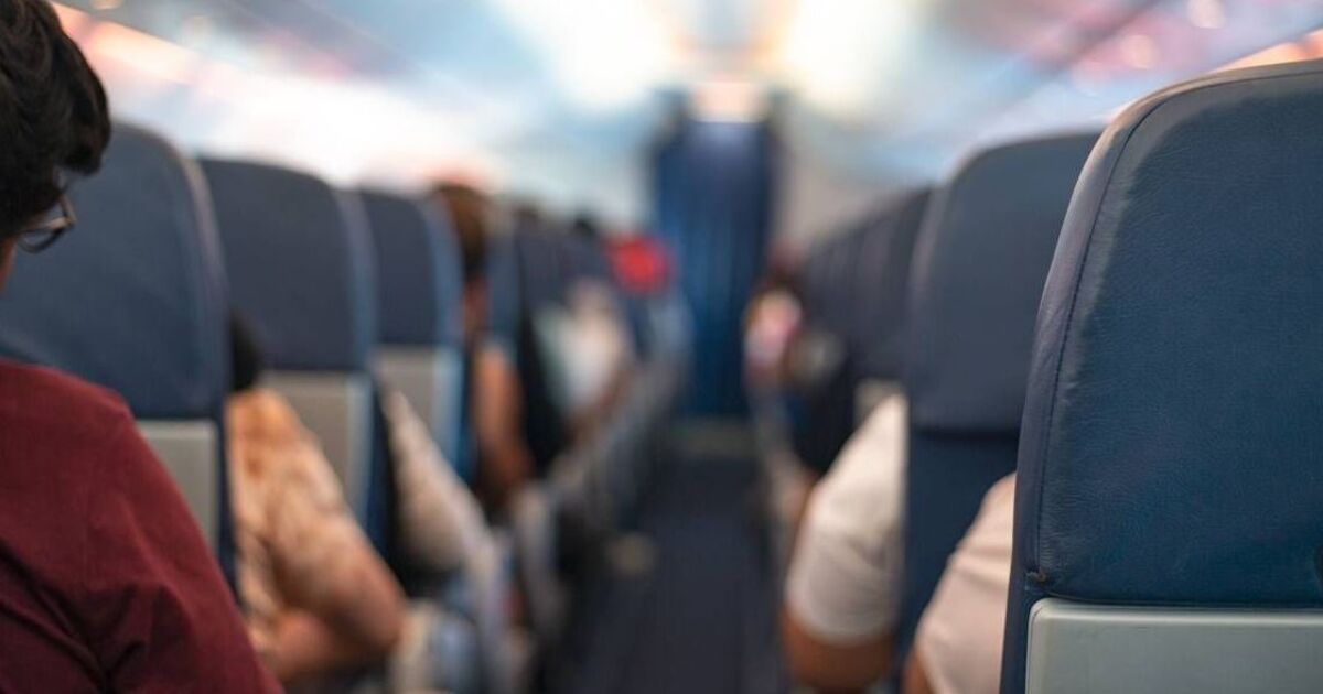 Une hôtesse de l'air règle le débat sur qui bénéficiera d'un accoudoir « supplémentaire » – mais les passagers ne sont pas d'accord