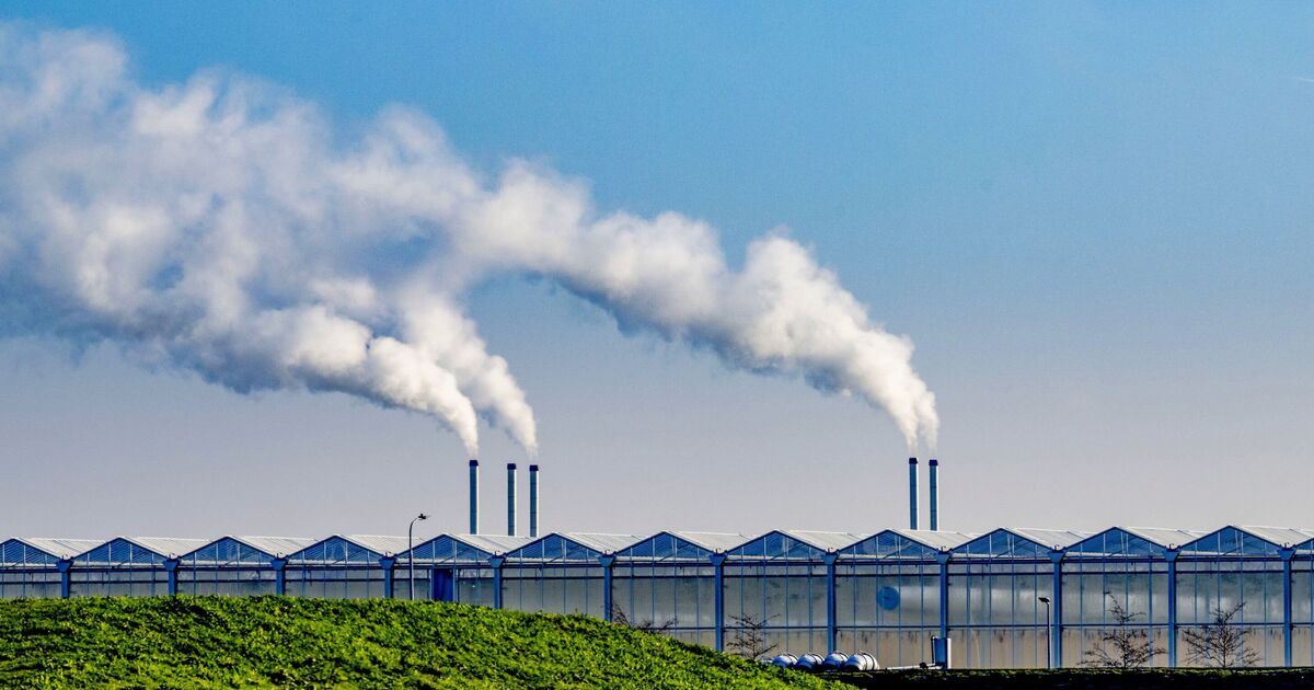 Alerte climatique alors que le mois de juin atteint un 13e record mensuel consécutif de chaleur