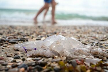 Alerte maximale sur les plages espagnoles après des centaines de blessés