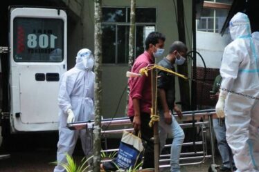 Alerte sanitaire en cas d'épidémie après qu'une maladie porcine a tué un garçon de 14 ans en Inde