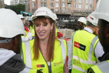 Angela Rayner abandonne la règle de la construction de grandes maisons et vous n'allez pas aimer ça