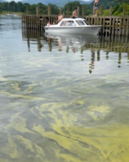 Avertissement concernant la prolifération d'algues toxiques comme le « venin de cobra » dans le lac Windermere