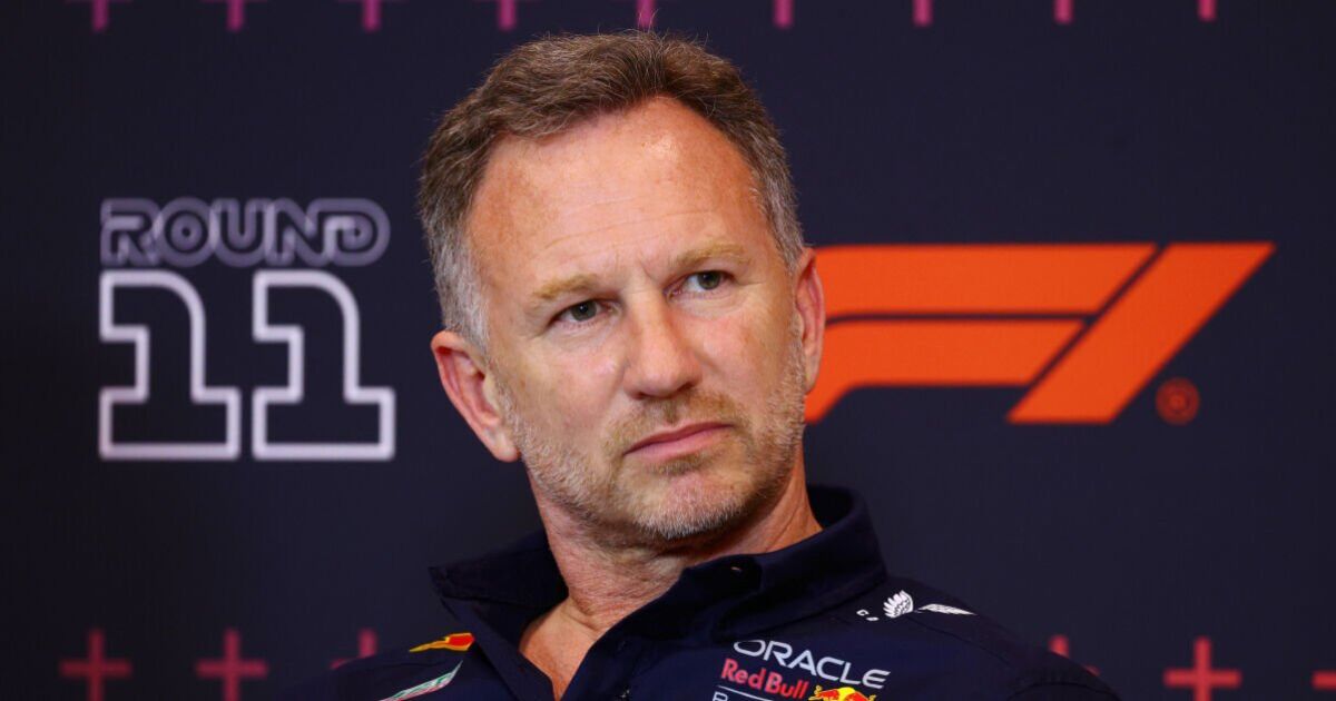 Christian Horner exprime clairement ses sentiments après le verdict de "catastrophe" de Max Verstappen chez Red Bull