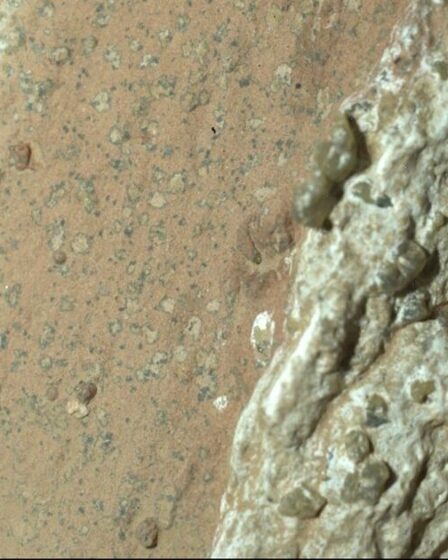 Des scientifiques de la NASA découvrent une « vie sur Mars » dans une ancienne roche des chutes Cheyava