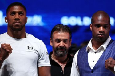 « J'ai boxé contre Anthony Joshua et Daniel Dubois – leurs coups ne sont pas comparables à ceux de Brit »