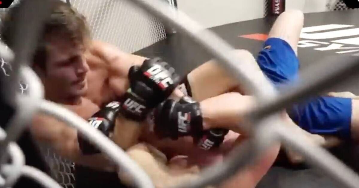 Jake Paul prépare ses débuts en MMA, mais son premier « combat » en cage laisse une star de YouTube embarrassée