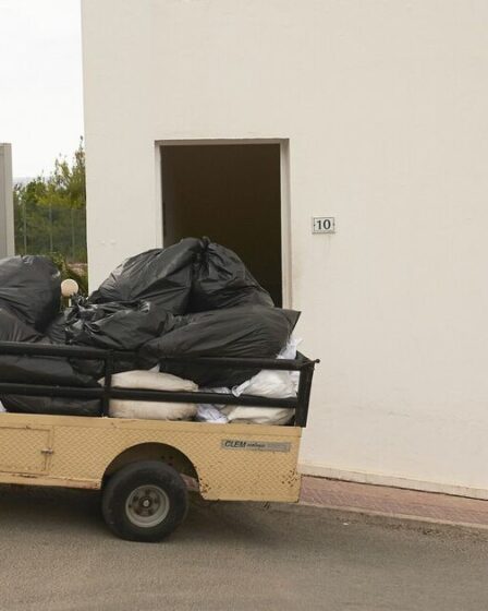 La poubelle d'Ibiza sème le chaos alors que les rats et les cafards envahissent des tas d'ordures dans les stations balnéaires populaires