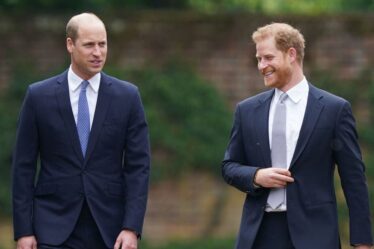 Le prince William a « tourné la page » sur le drame du prince Harry pour « protéger » une tradition importante