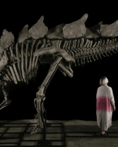 L'incroyable fossile de squelette de dinosaure d'une valeur de 34,5 millions de livres sterling découvert par un chasseur lors d'une promenade