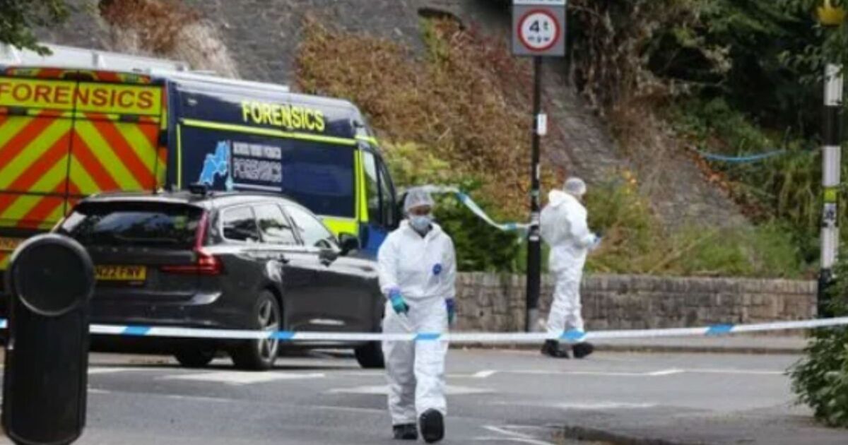 Pont suspendu de Clifton EN DIRECT : Des restes humains retrouvés dans des valises alors que la chasse à l'homme est lancée