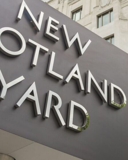 Une enquête pour meurtre est ouverte après la découverte d'un nouveau-né dans une poubelle