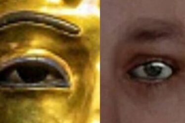 Une percée dans l'Égypte antique : le visage de Toutankhamon photographié pour la première fois depuis 3 300 ans