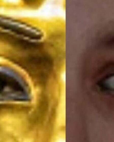 Une percée dans l'Égypte antique : le visage de Toutankhamon photographié pour la première fois depuis 3 300 ans