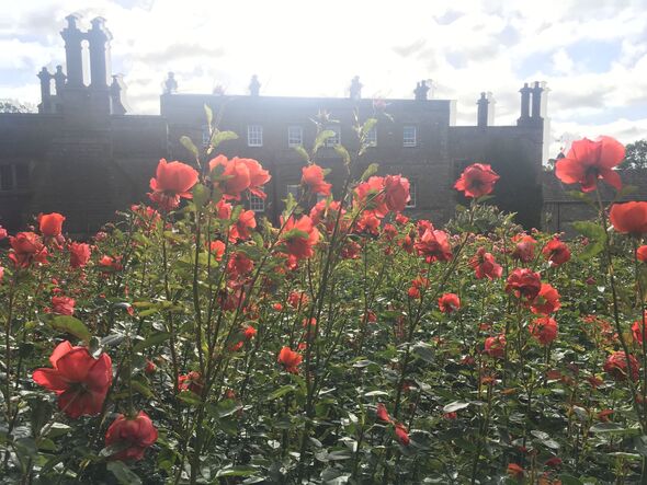 Les jardins formels de Tissington Hall.