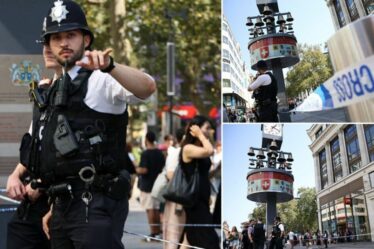 Attaque au couteau à Leicester Square EN DIRECT : une fille de 11 ans et une femme poignardées lors d'une horrible attaque au centre de Londres