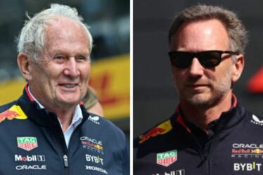 Christian Horner accusé de « dissimuler les faits » alors que Marko répond à la remarque de Verstappen