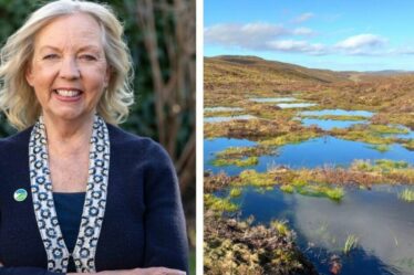 Deborah Meaden, star de Dragons' Den, met en garde contre l'urgence de protéger les tourbières, « trésors nationaux »