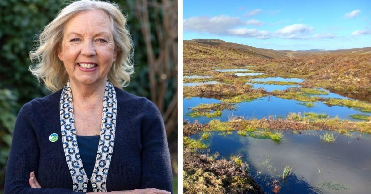 Deborah Meaden, star de Dragons' Den, met en garde contre l'urgence de protéger les tourbières, « trésors nationaux »