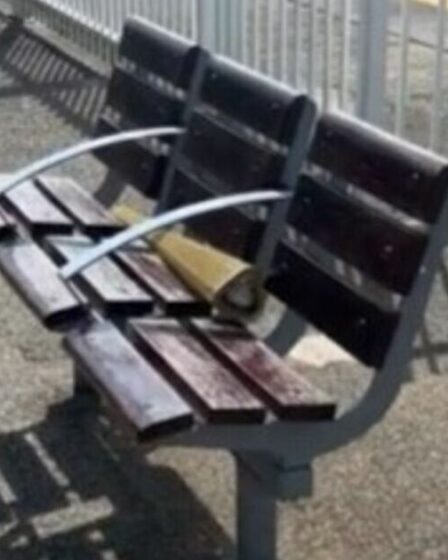 Des amis déconcertés après avoir trouvé la torche olympique abandonnée dans un endroit inattendu