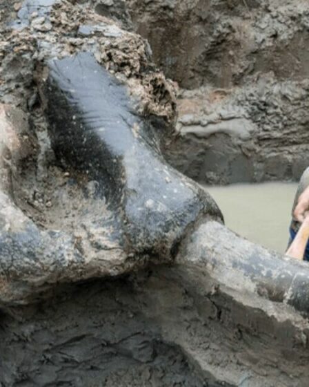 Des archéologues font une découverte incroyable en découvrant un trésor vieux de 13 600 ans