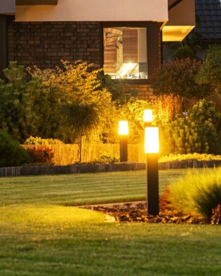 Des conseils urgents pour protéger votre maison alors que les Britanniques attendent des araignées de la taille d'un rat