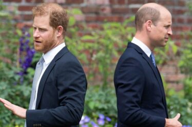 Famille royale EN DIRECT : le prince William va snober le prince Harry « déloyal » avec un geste clé - source