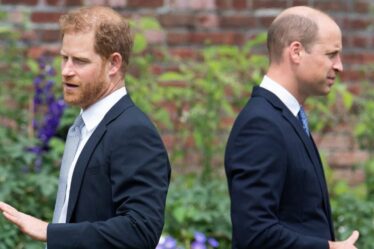 La véritable ampleur de la querelle entre le prince Harry et le prince William révélée dans une déclaration de quatre mots