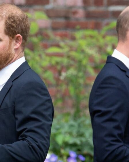 La véritable ampleur de la querelle entre le prince Harry et le prince William révélée dans une déclaration de quatre mots