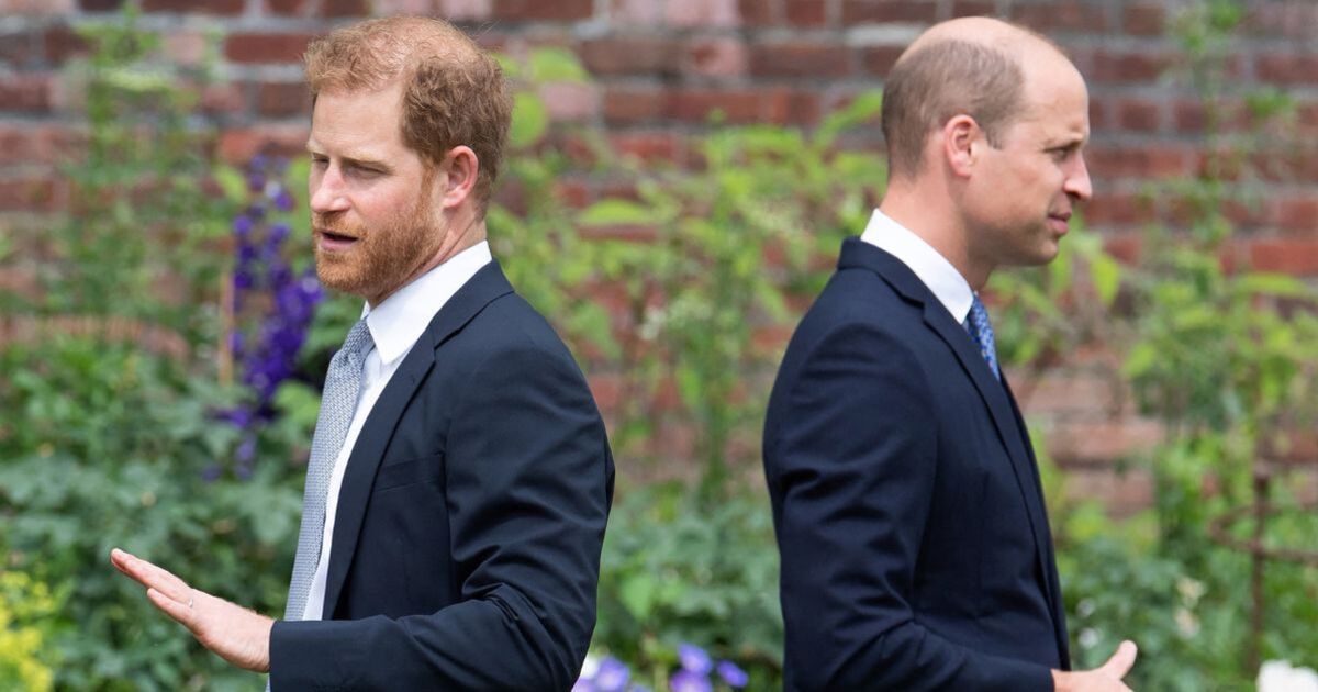 La véritable ampleur de la querelle entre le prince Harry et le prince William révélée dans une déclaration de quatre mots