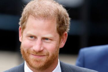 Le prince Harry dirigera un événement clé pour marquer l'anniversaire de Diana - mais il est peu probable que William se joigne à lui