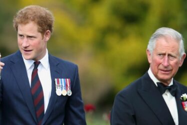 Le roi Charles « ouvert à une trêve avec Harry » après que des conseils clés lui ont donné une « nourriture spirituelle »