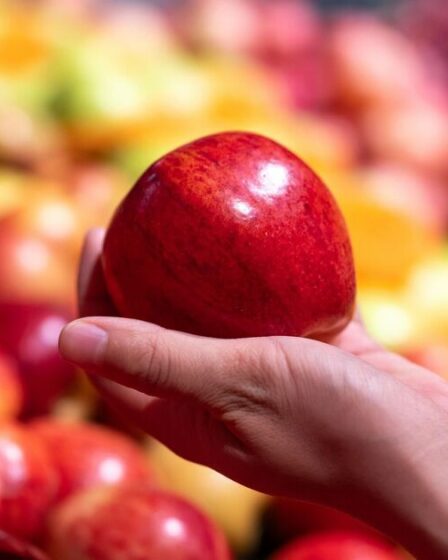 Les scientifiques affirment que les gens devraient éplucher les concombres et les pommes pour des raisons de santé