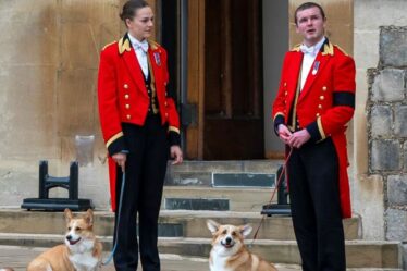 Sarah Ferguson donne des nouvelles rares sur les chiens adorés de la défunte reine dans un message sincère