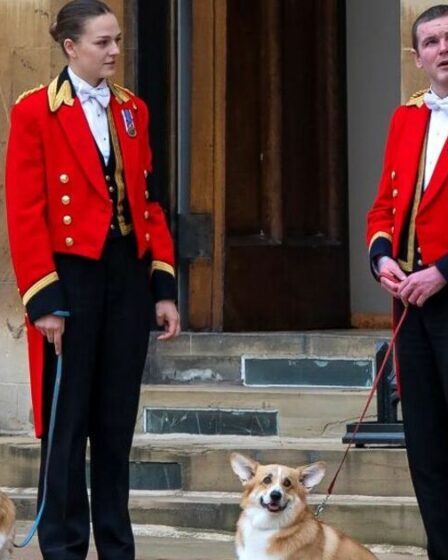 Sarah Ferguson donne des nouvelles rares sur les chiens adorés de la défunte reine dans un message sincère